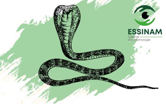 https://www.essinam.com/uploaded_file/files/img/news/alt
